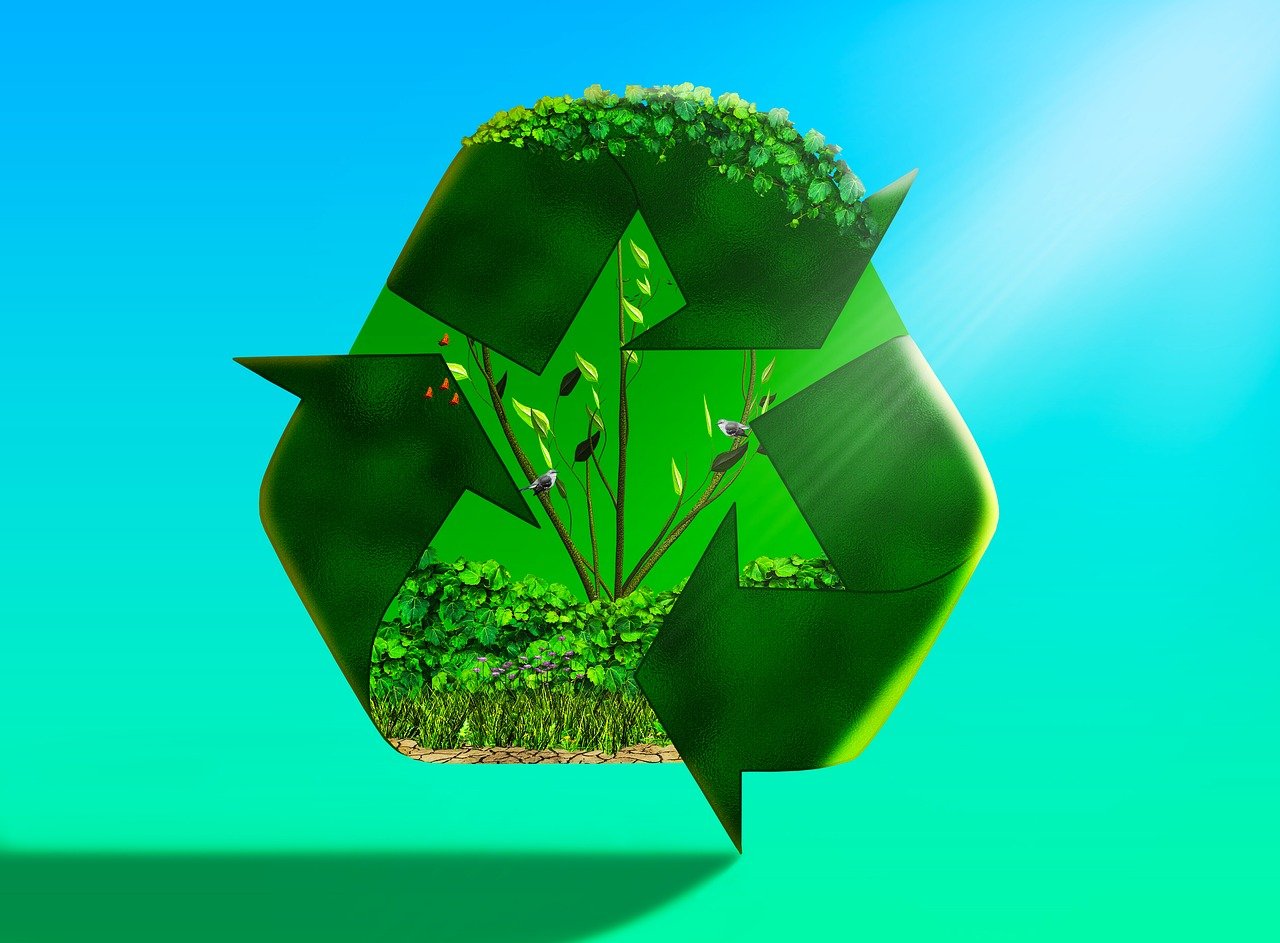 The Rise of Eco-Friendly Cryptocurrencies